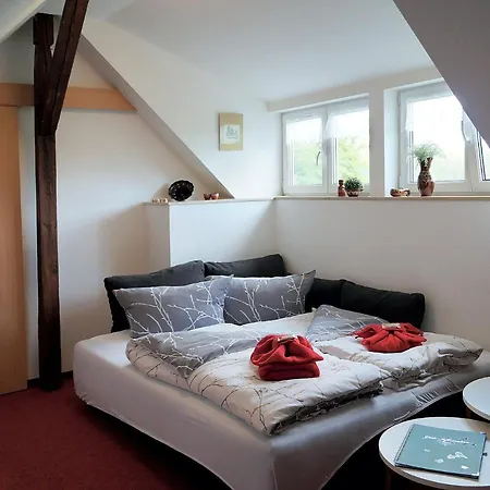 Hotel Erzgebirgshotel Misnia Baerenfels