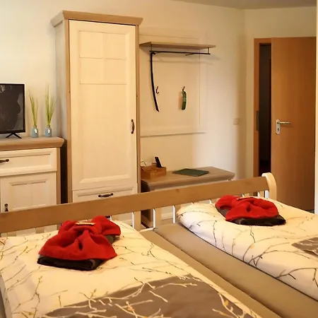 Erzgebirgshotel Misnia Baerenfels Altenberg (Krušné hory)