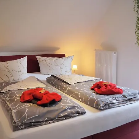 Erzgebirgshotel Misnia Baerenfels * Altenberg (Krušné hory)