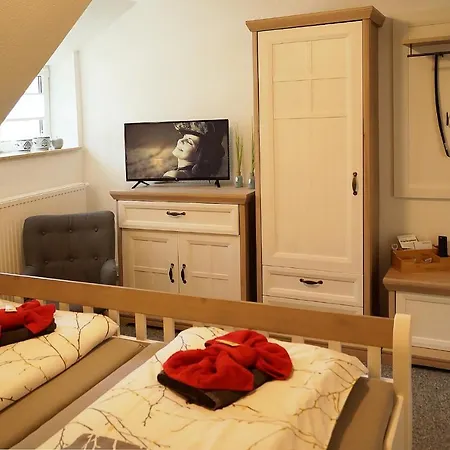 Hotel Erzgebirgshotel Misnia Baerenfels