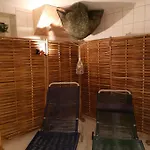 Erzgebirgshotel Misnia Baerenfels Ξενοδοχείο