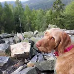 Erzgebirgshotel Misnia Baerenfels *