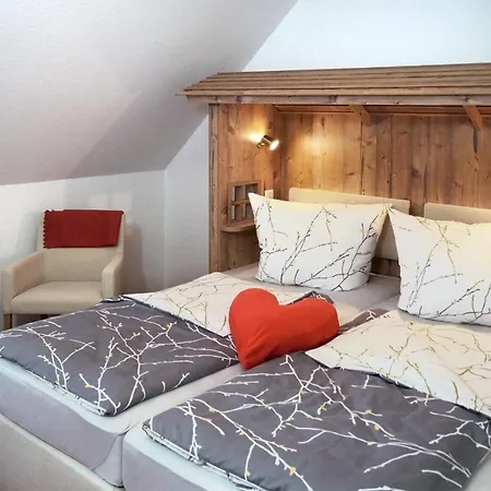 Erzgebirgshotel Misnia Baerenfels Altenberg