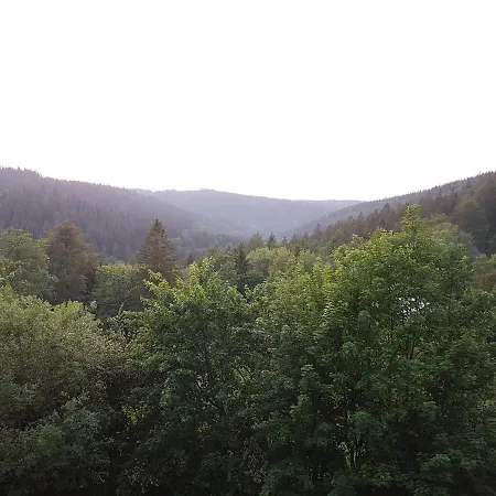 Отель Erzgebirgshotel Misnia Baerenfels *