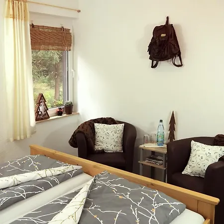 Erzgebirgshotel Misnia Baerenfels * Альтенберг