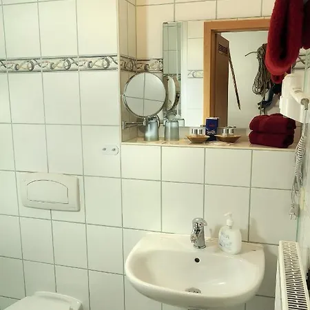 Отель Erzgebirgshotel Misnia Baerenfels