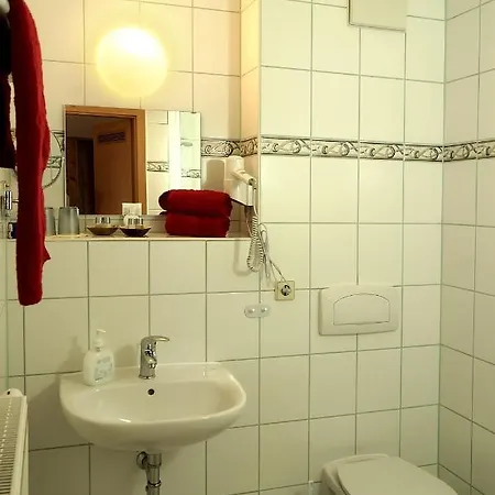 Отель Erzgebirgshotel Misnia Baerenfels