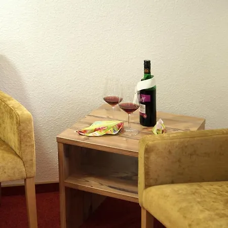 Erzgebirgshotel Misnia Baerenfels 酒店