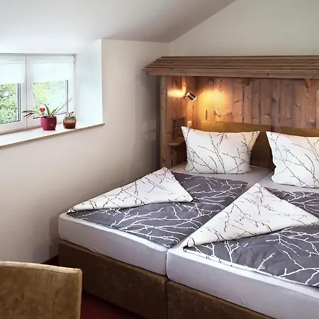 Erzgebirgshotel Misnia Baerenfels Отель *