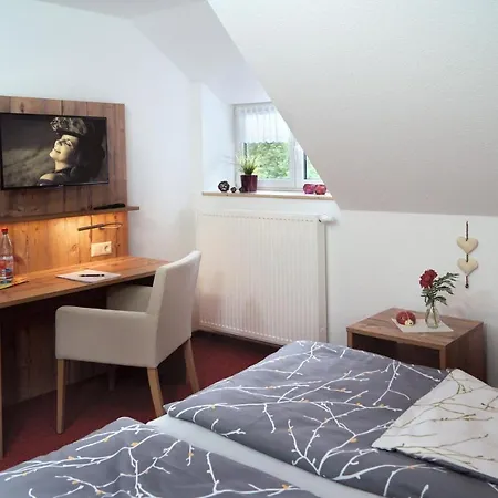 酒店 Erzgebirgshotel Misnia Baerenfels 库罗阿尔滕堡