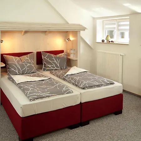 Erzgebirgshotel Misnia Baerenfels