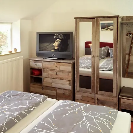 Отель Erzgebirgshotel Misnia Baerenfels Альтенберг