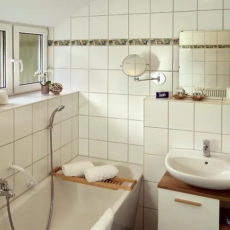 Erzgebirgshotel Misnia Baerenfels Отель Альтенберг