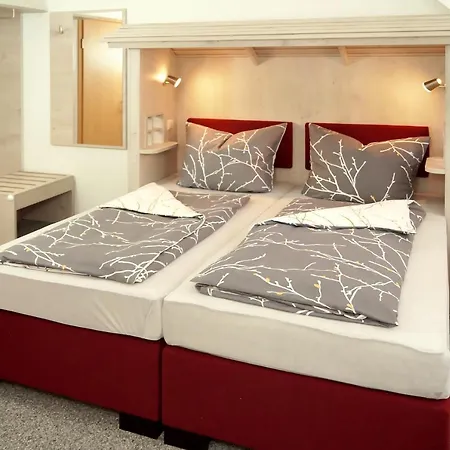 Отель Erzgebirgshotel Misnia Baerenfels