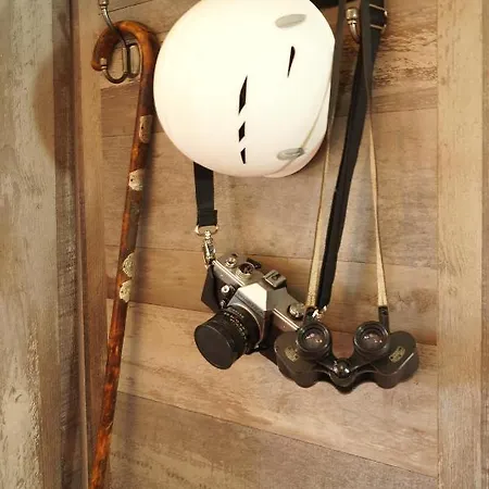 Erzgebirgshotel Misnia Baerenfels