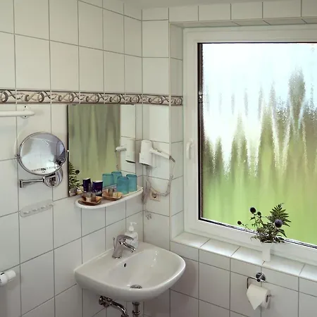 Erzgebirgshotel Misnia Baerenfels Отель Альтенберг