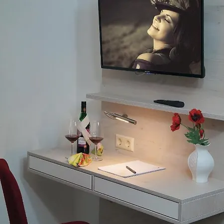 Отель Erzgebirgshotel Misnia Baerenfels