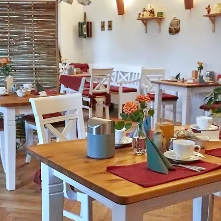 Отель Erzgebirgshotel Misnia Baerenfels