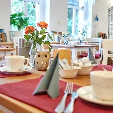 מלון Erzgebirgshotel Misnia Baerenfels *