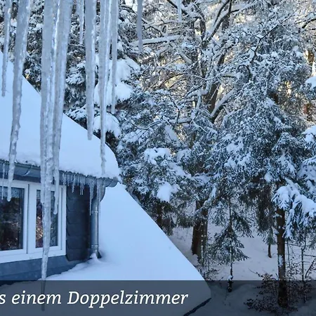 Отель Erzgebirgshotel Misnia Baerenfels *