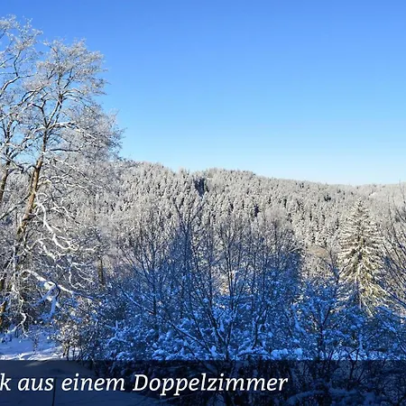 Erzgebirgshotel Misnia Baerenfels מלון *