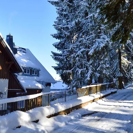 Отель Erzgebirgshotel Misnia Baerenfels Альтенберг