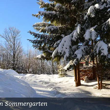 Отель Erzgebirgshotel Misnia Baerenfels *