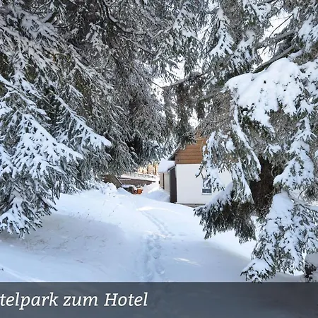 Erzgebirgshotel Misnia Baerenfels Отель