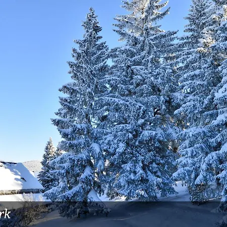 Отель Erzgebirgshotel Misnia Baerenfels *