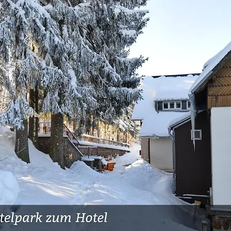 Отель Erzgebirgshotel Misnia Baerenfels