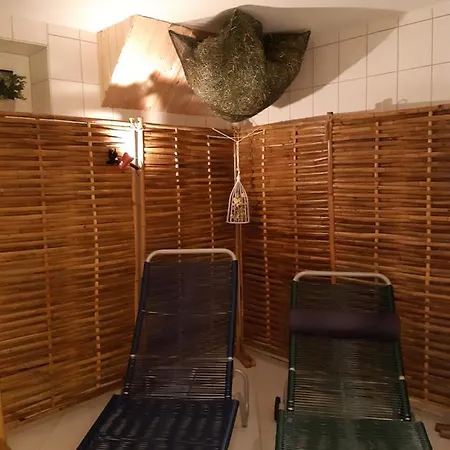 Erzgebirgshotel Misnia Baerenfels Отель