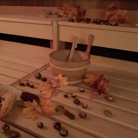 Erzgebirgshotel Misnia Baerenfels * Altenberg