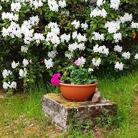 Erzgebirgshotel Misnia Baerenfels *