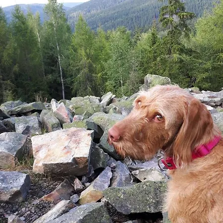 Erzgebirgshotel Misnia Baerenfels *