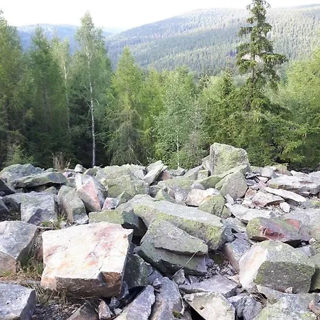 Erzgebirgshotel Misnia Baerenfels מלון *