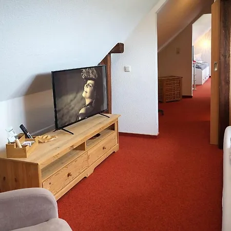 Hotel Erzgebirgshotel Misnia Baerenfels *