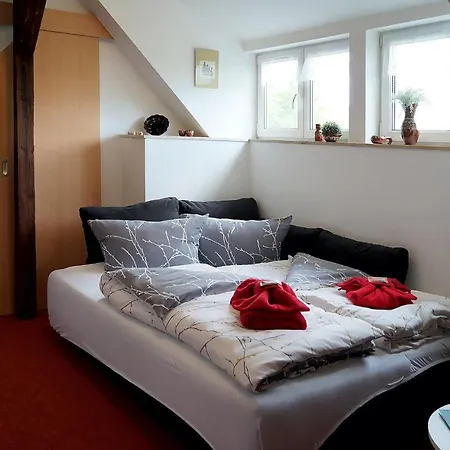 Erzgebirgshotel Misnia Baerenfels Altenberg