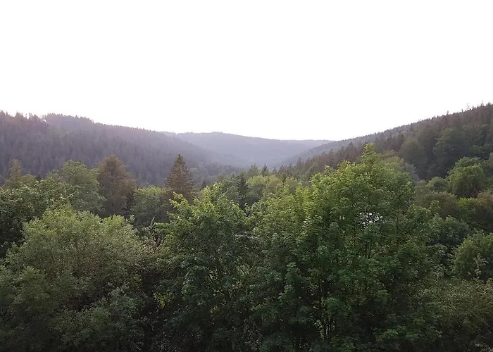 Hotel Erzgebirgshotel Misnia Baerenfels *