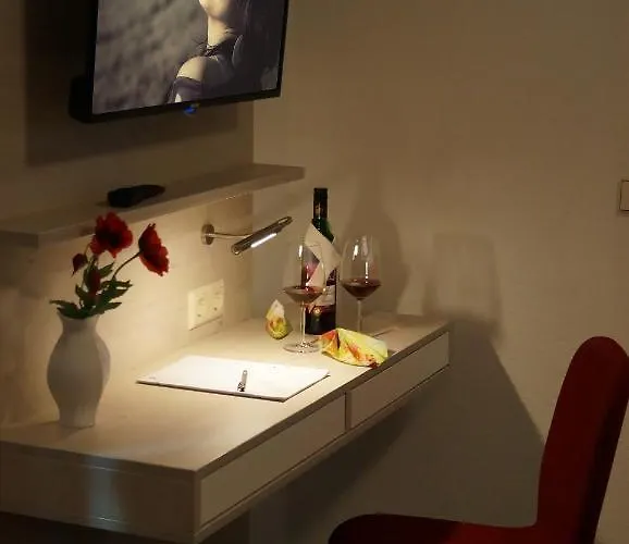 Erzgebirgshotel Misnia Baerenfels Hotel *