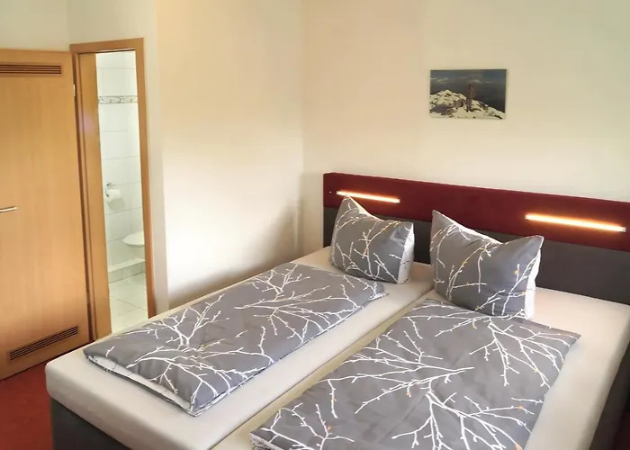 Erzgebirgshotel Misnia Bärenfels * Altenberg (Erzgebirge)