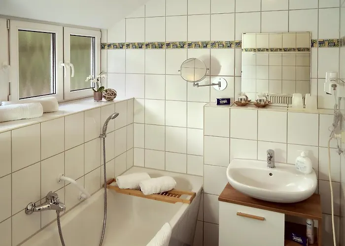 Erzgebirgshotel Misnia Baerenfels Hotel Altenberg