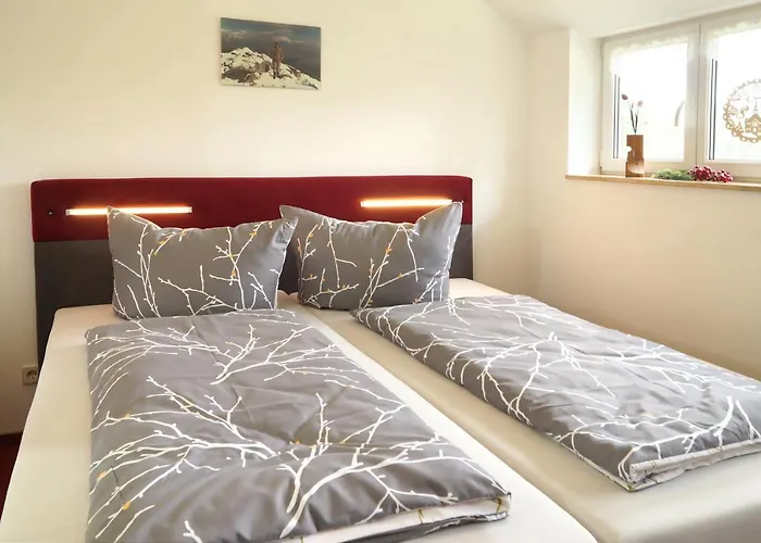 Hotel Erzgebirgshotel Misnia Baerenfels