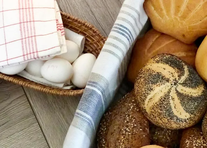 Hotel Erzgebirgshotel Misnia Bärenfels