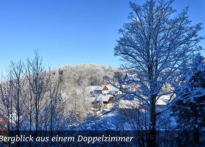 Hotel Erzgebirgshotel Misnia Baerenfels *