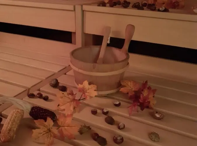 Erzgebirgshotel Misnia Baerenfels * Altenberg