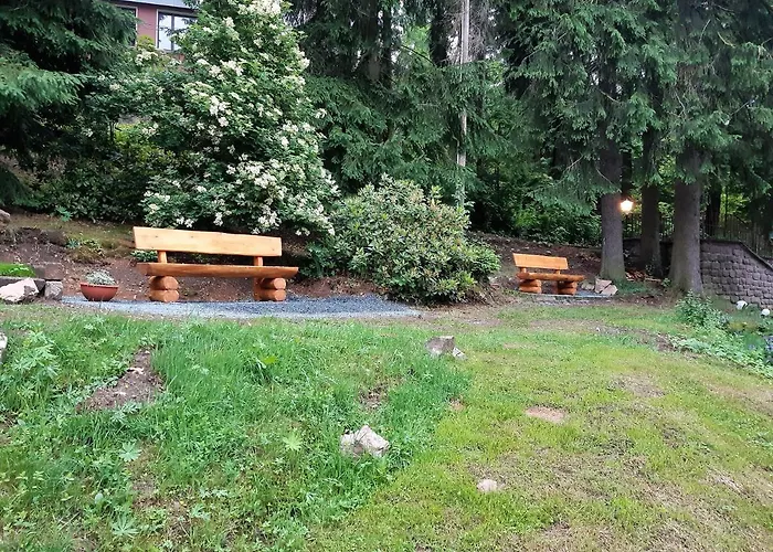 Erzgebirgshotel Misnia Bärenfels Hotel