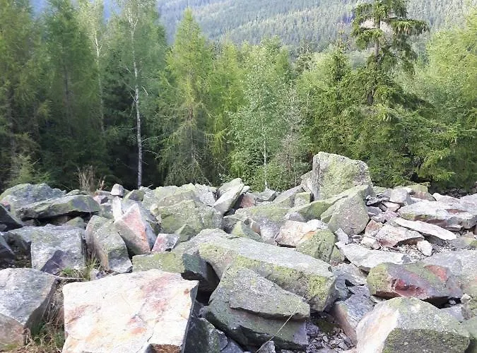 Erzgebirgshotel Misnia Baerenfels Hotel *